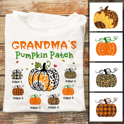 grandma-fall-t-2