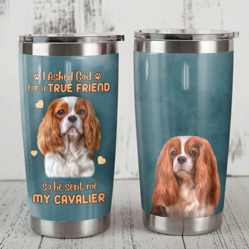 cavalier-king-charles-spaniel-dog-steel-tumbler