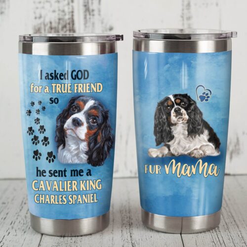 cavalier-king-charles-spaniel-dog-steel-tumbler-11