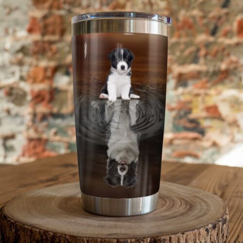 border-collie-dog-steel-tumbler-6