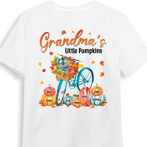 grandmas-little-pumpkin-bicycle-t