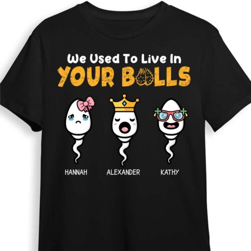 gift-we-used-to-live-in-your-balls