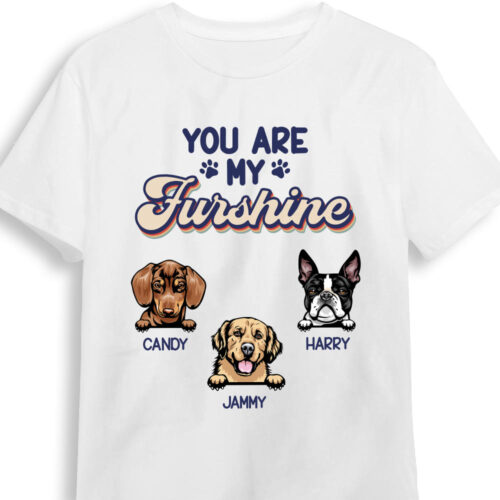 you-are-my-furshine