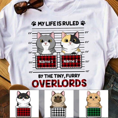 cat-my-overlord-t