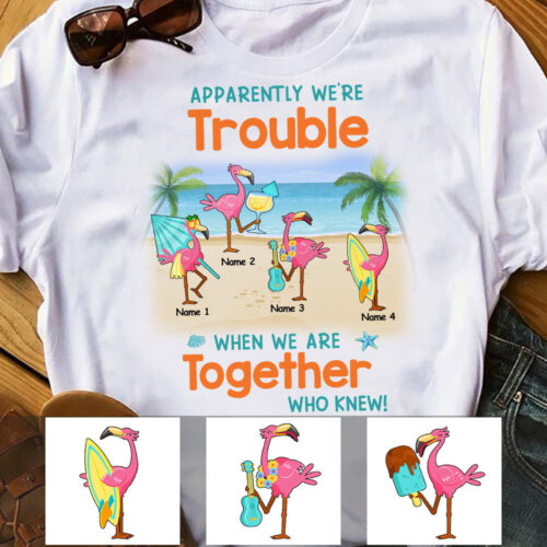 friends-flamingos-on-beach-t