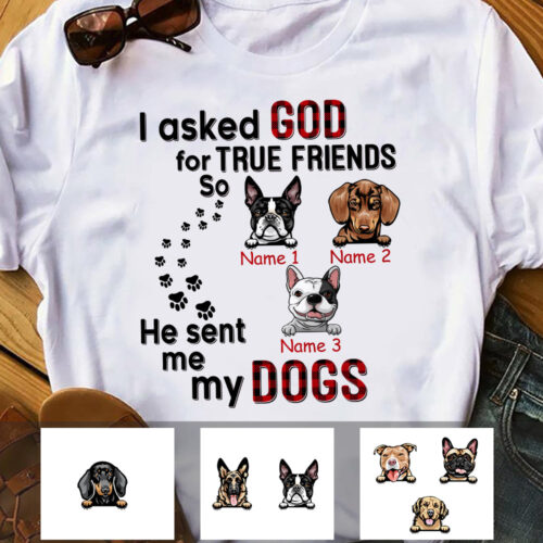 dog-ask-god-for-true-friend-t