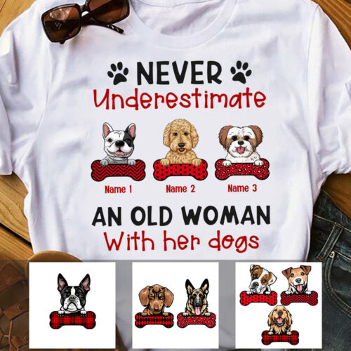 an-old-woman-with-her-dog-t