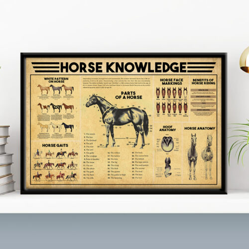 unframed-poster-wall-art-horse-knowledge