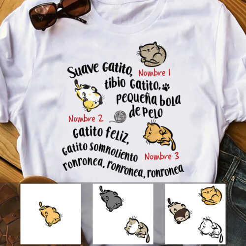 suave-gatito-spanish-soft-kitty-warm-kitty-cat-t