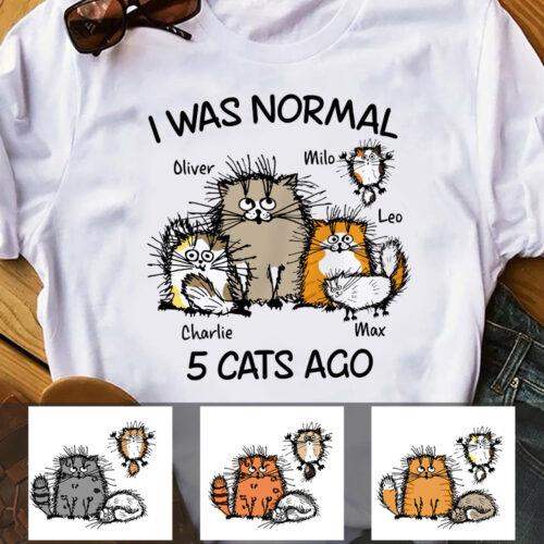 i-was-normal-cat-t