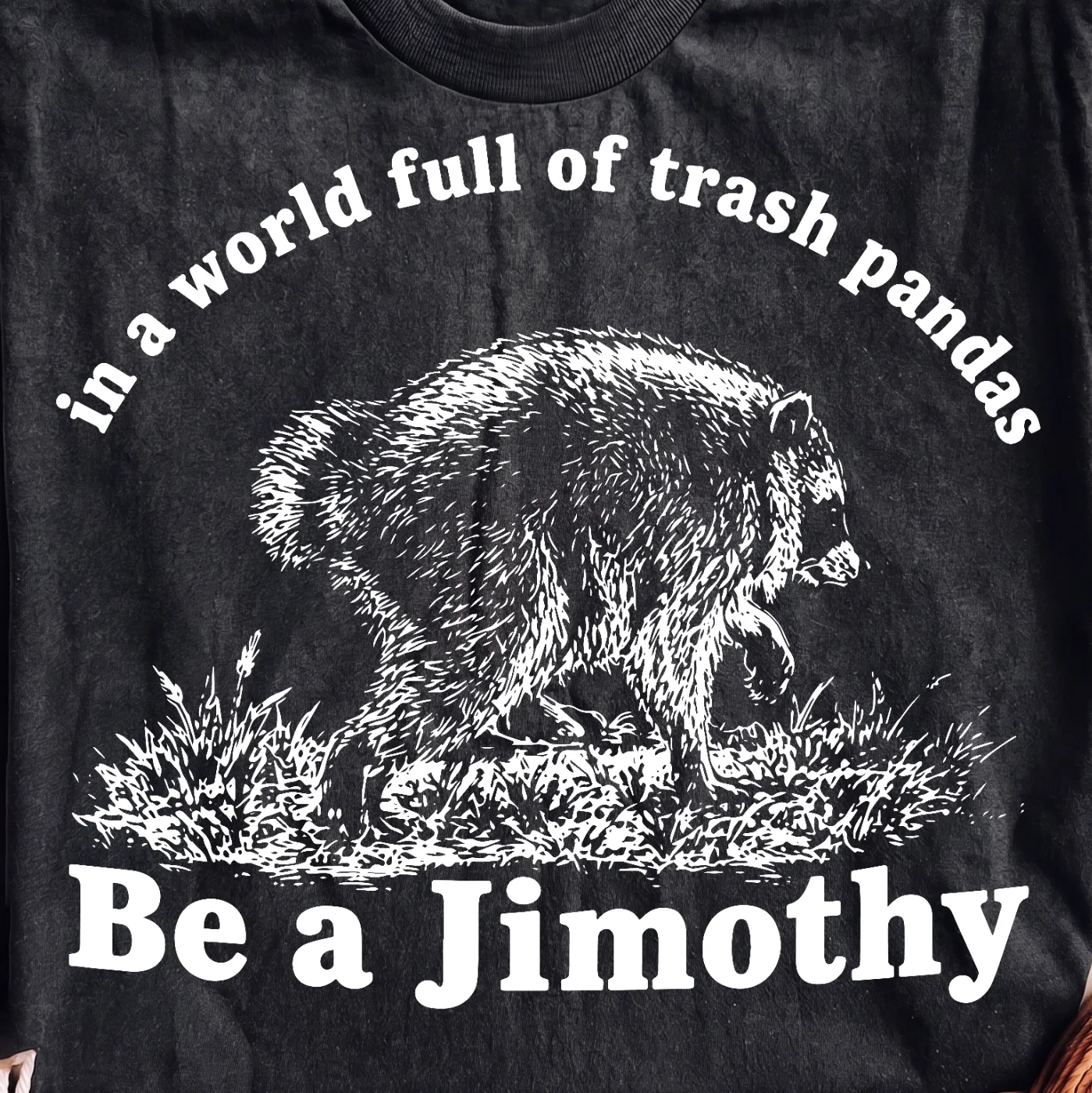 Be a Jimothy in a world full of trash pandas | Print-ready PNG file - Image 2