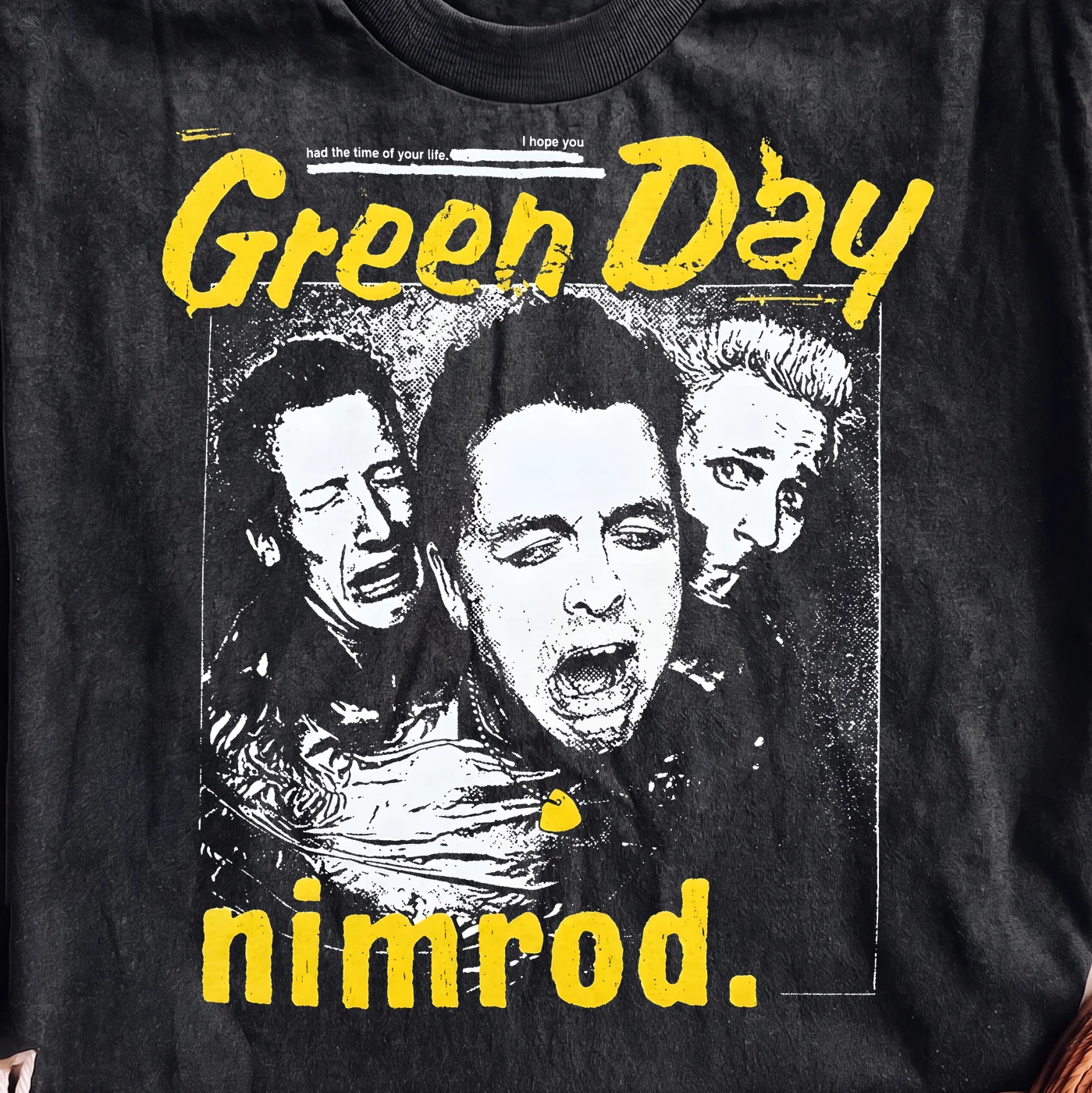 Green Day Nimrod Album Cover Art · Instant PNG printable file - Image 2