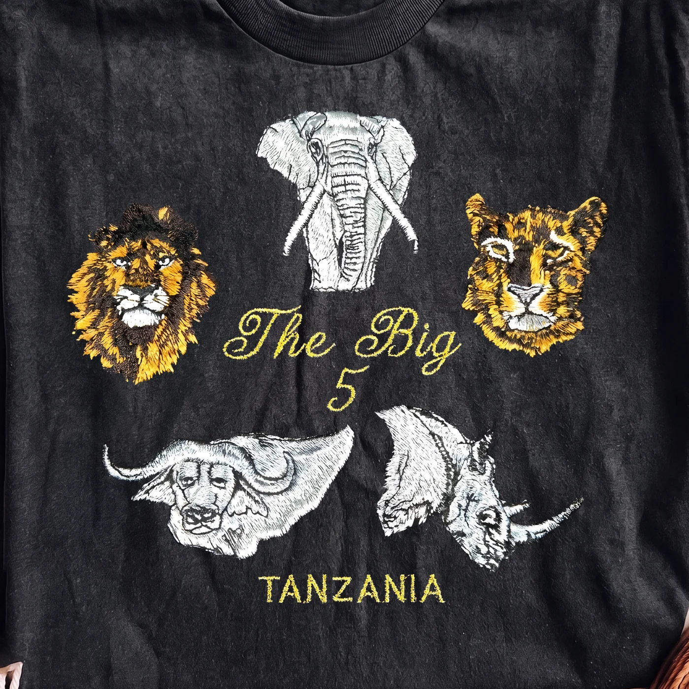 The Big 5 Tanzania - PNG for printing - Image 2